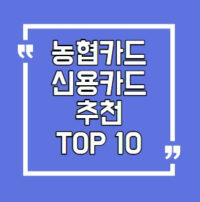 농협 신용카드 추천 TOP 10